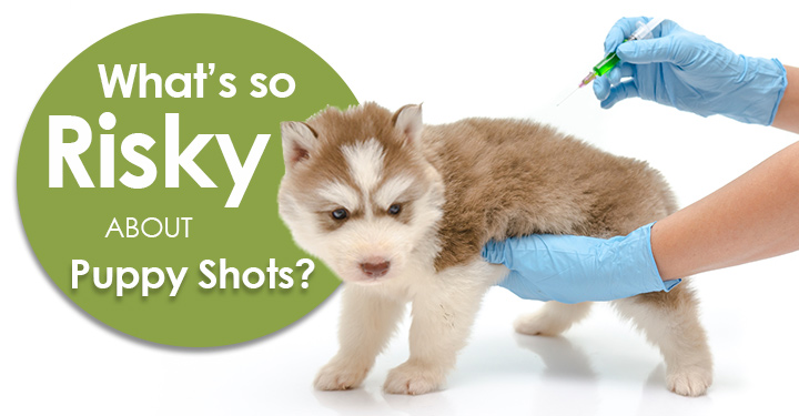 get shots for dogs