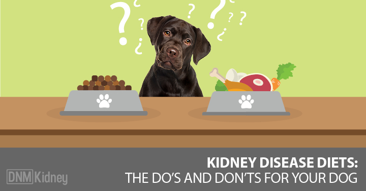 best dog food for renal failure