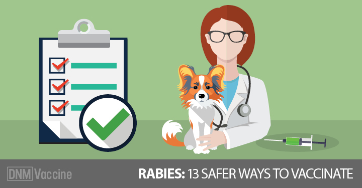 Rabies Vaccines Safer Ways To Vaccinate Your Dog