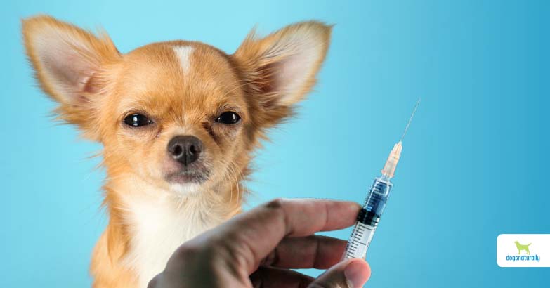 how often does a dog need a distemper shot