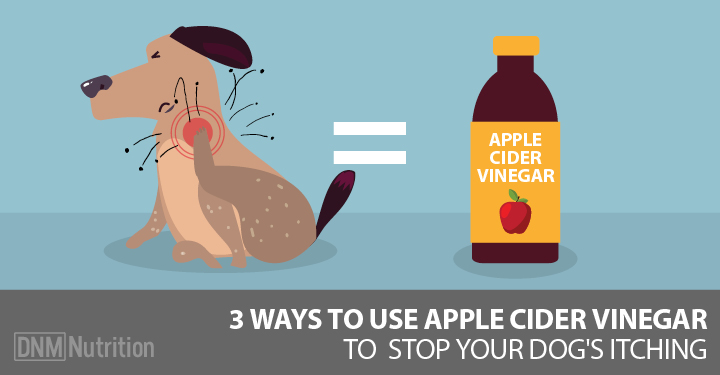 apple cider vinegar to repel fleas