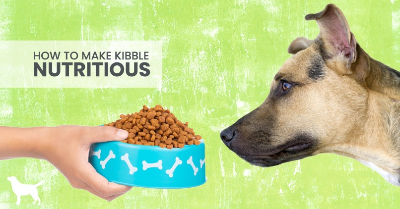 healthiest inexpensive dog food