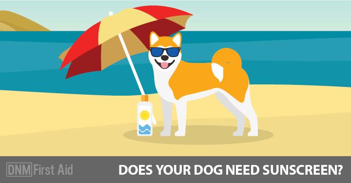 sunblock for dogs