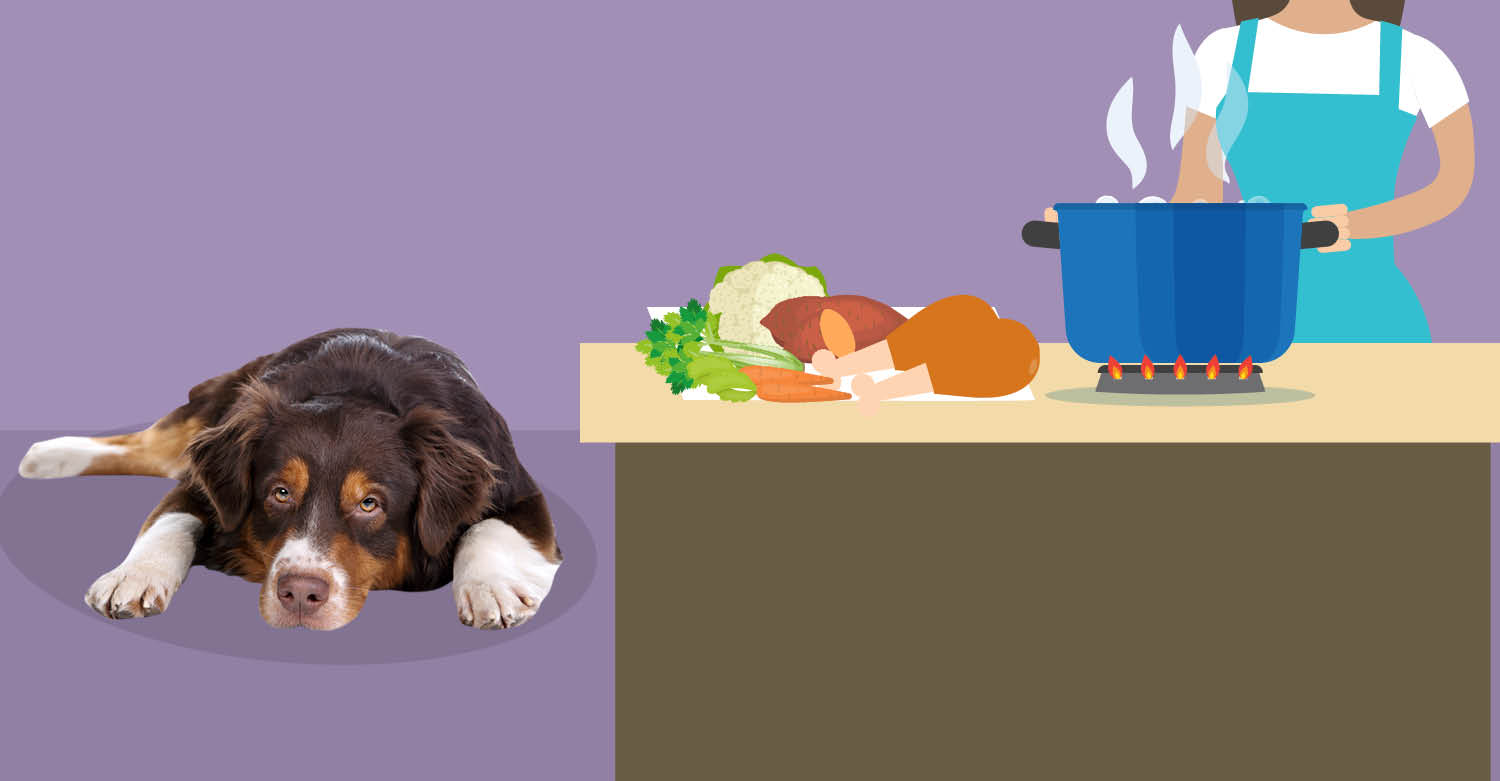 natural remedies for dog upset stomach