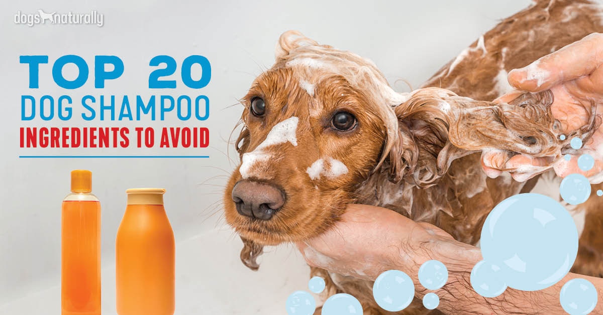 allergy dog shampoo