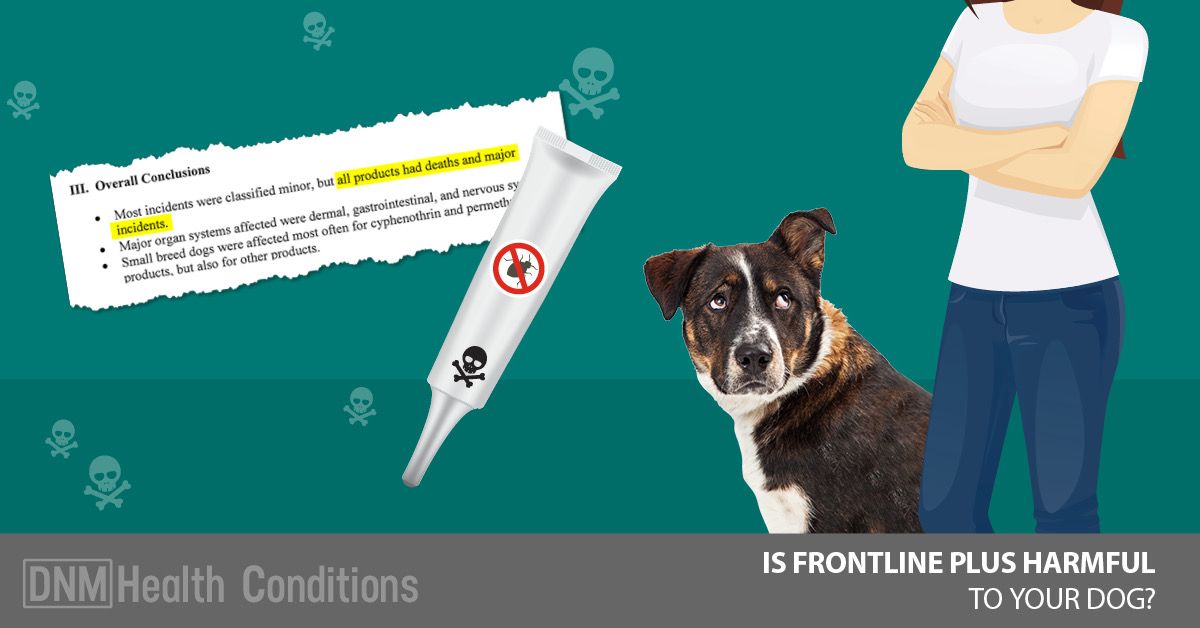 Can a dog overdose on frontline plus
