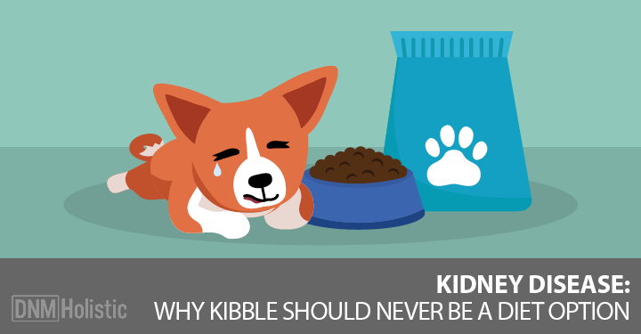 kefir for dogs with kidney disease