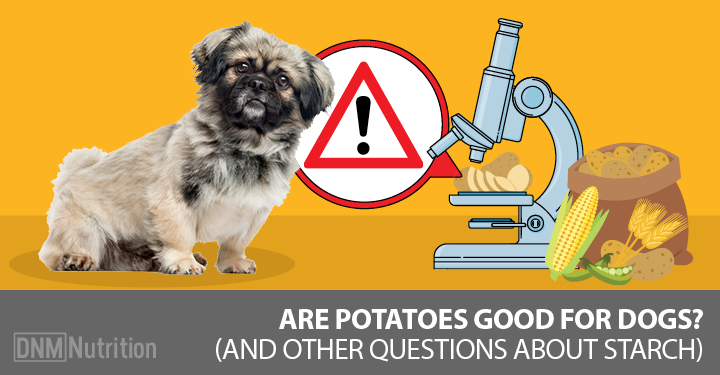 dogs eat potatoes