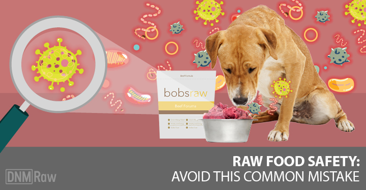 treats for dogs on raw diet