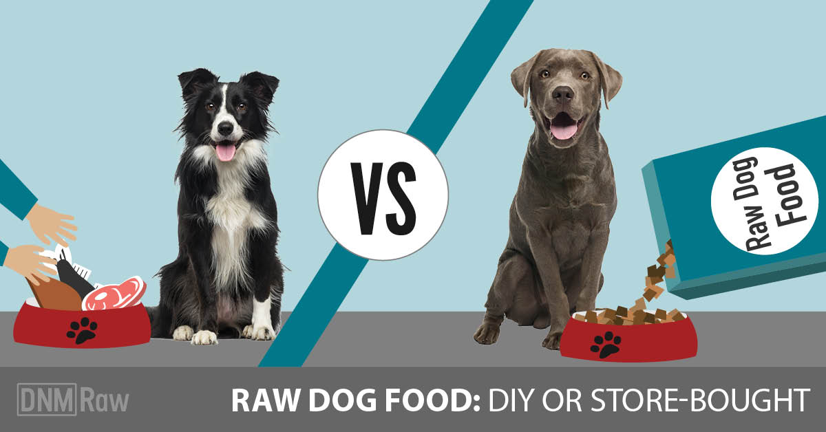 raw dog food distributors