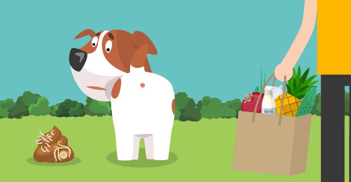 deworming dogs at home