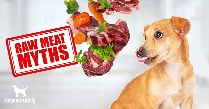 is raw beef good for dogs