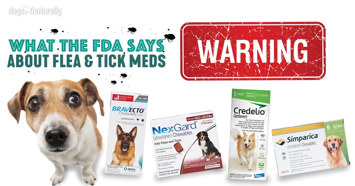 dog flea and tick medicine seizures
