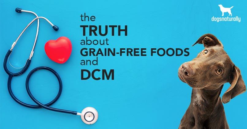 Grain-Free Dog Foods And DCM 