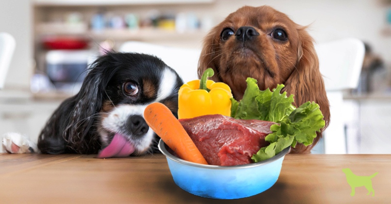  Raw Feeding Primer 10 Simple Rules To Get Started Dogs Naturally