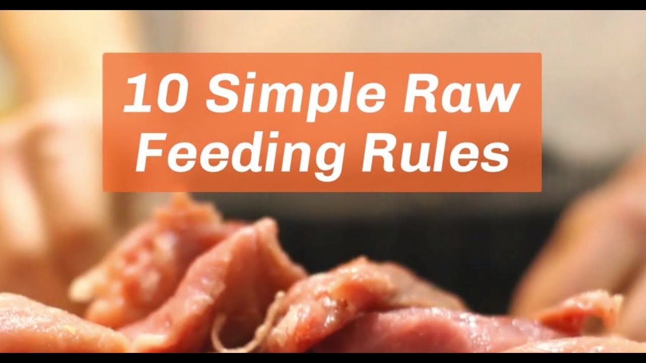 Raw Feeding Primer 6 Simple Rules To Get Started Dogs Naturally