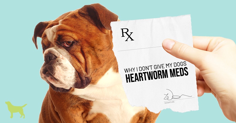 heartworm prevention for large dogs