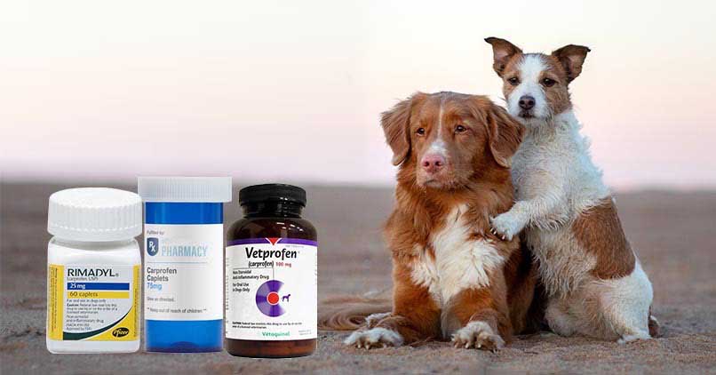 rimadyl pain medication for dogs
