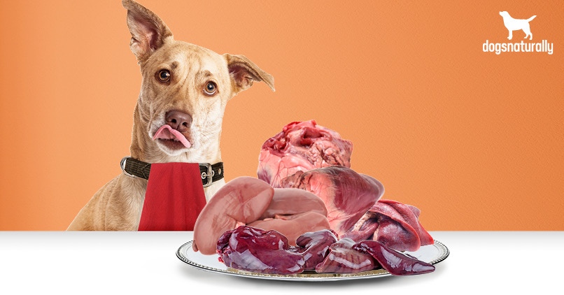 beef organs for dogs