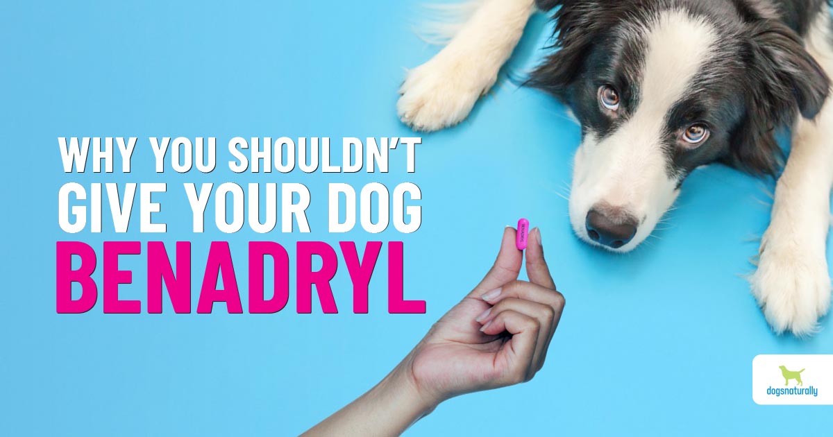 how much benadryl will kill a dog