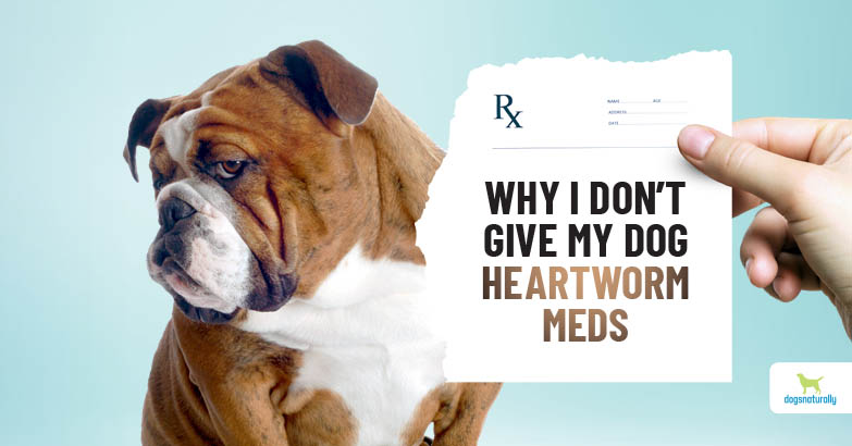 Why I Don T Give My Dogs Heartworm Meds And Why You Shouldn T Either
