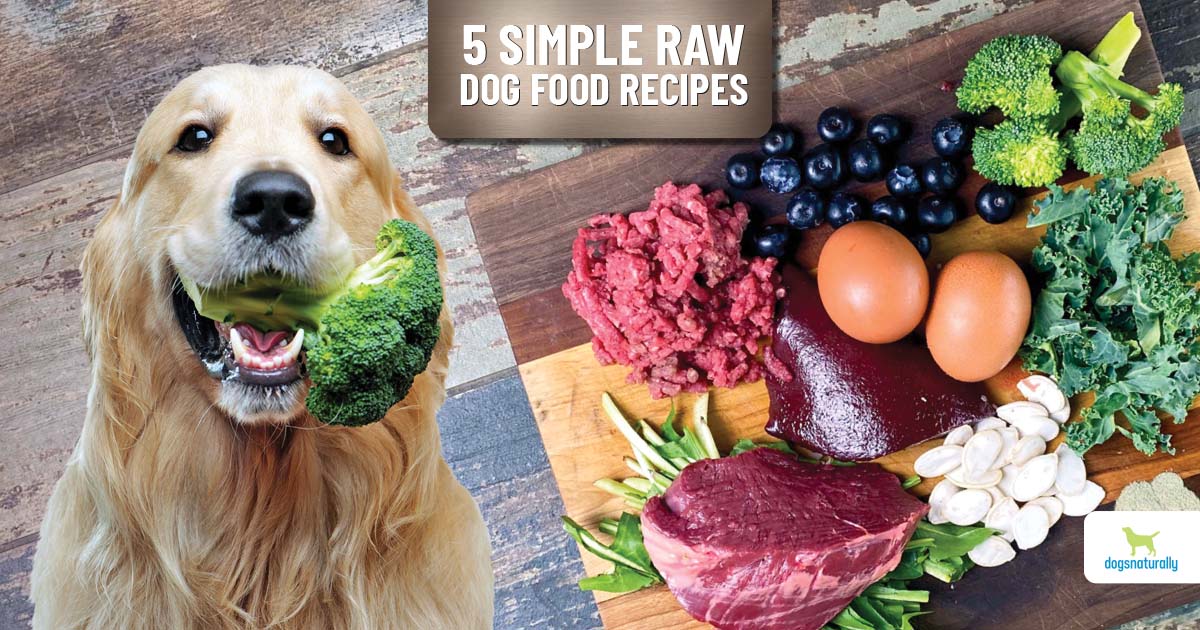 what are the benefits of raw food for dogs