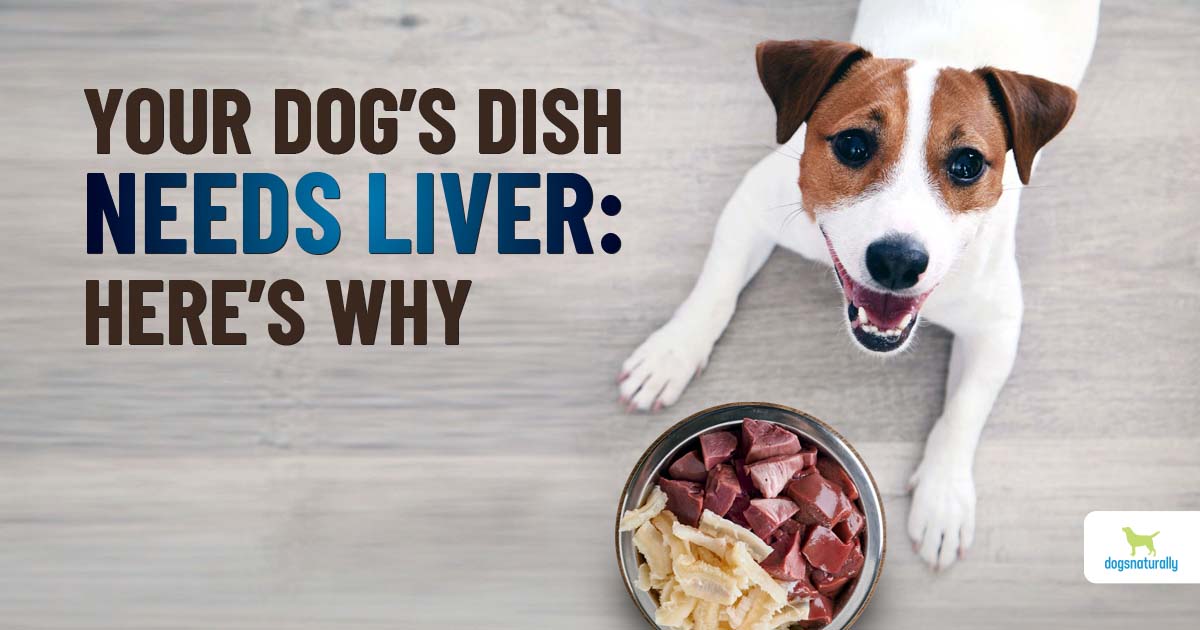 can dogs eat cooked kidney