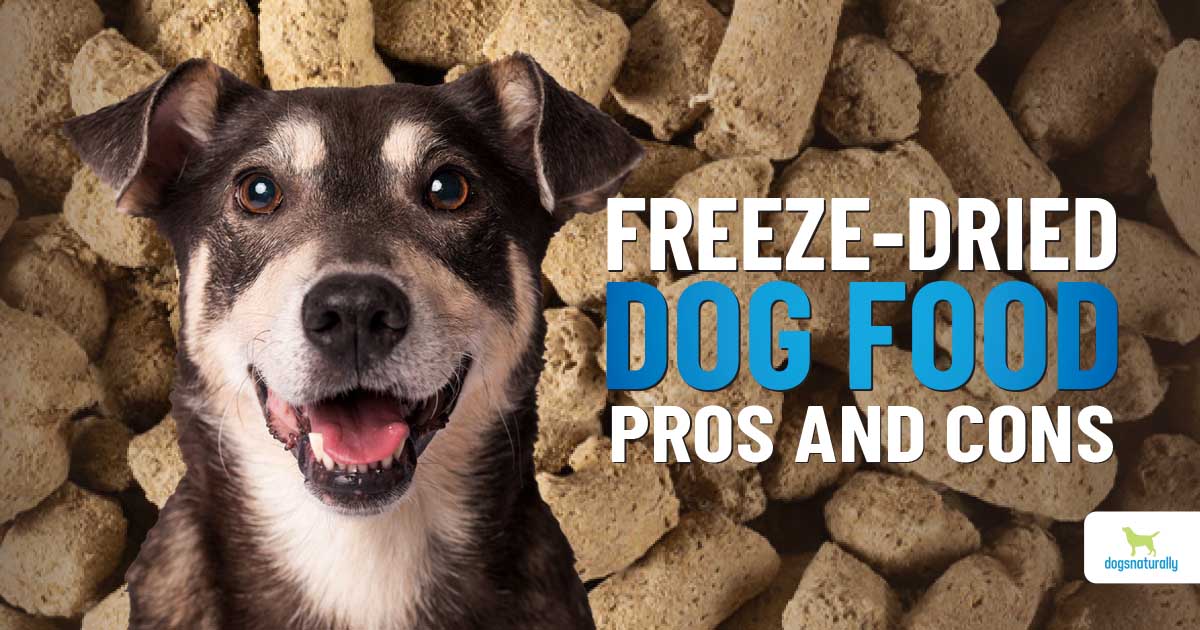 The Benefits of Air-Dried vs Freeze-Dried or Dehydrated Dog Food