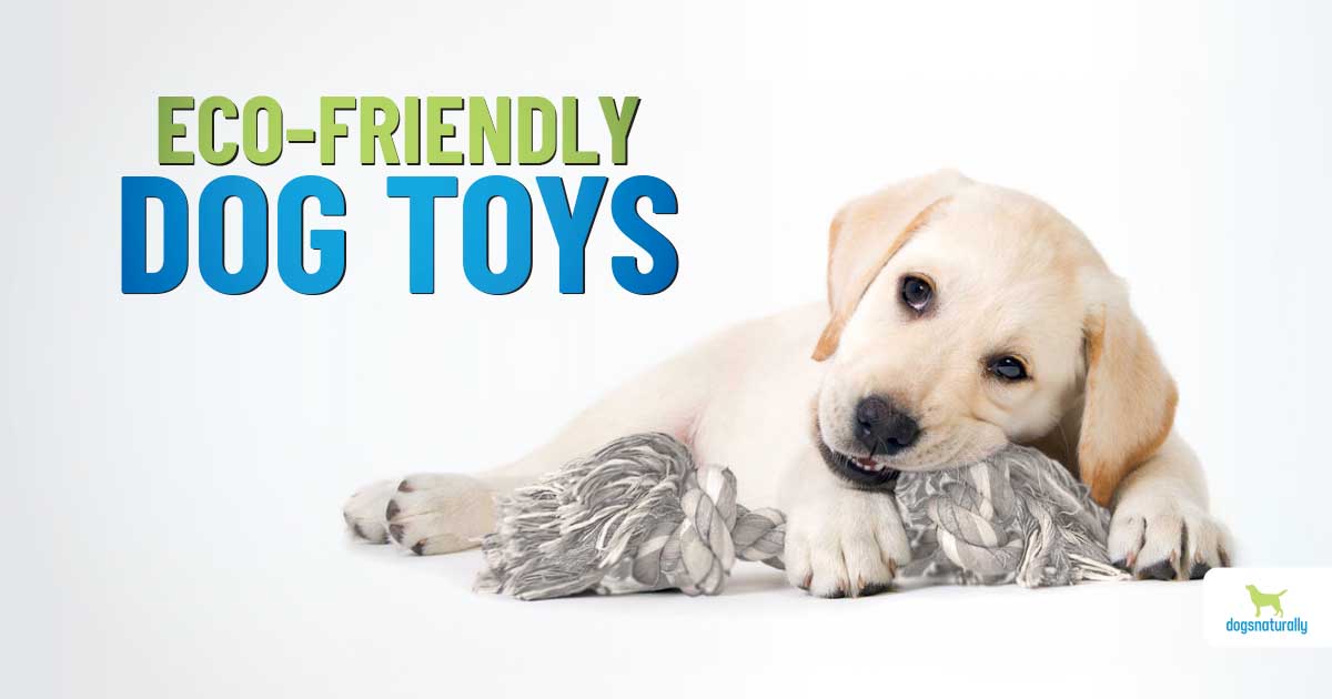 Good Quality Dog Toys Plastic Dog Toy for Entertainment - China Dog Toys  and Pet Supplier price