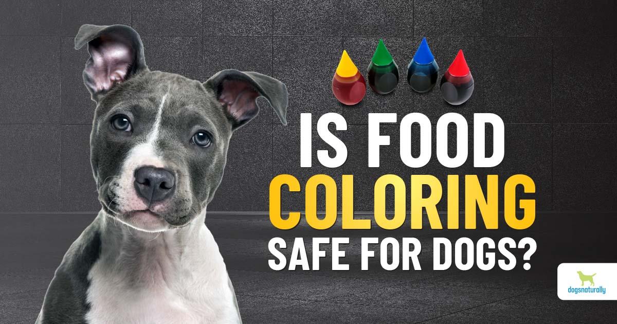 Is Food Coloring Safe For Dogs? - Dogs Naturally
