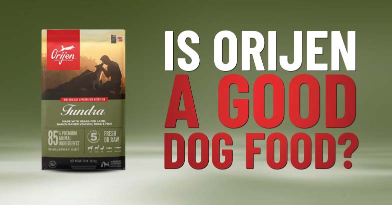 Orijen Dog Food Reviews