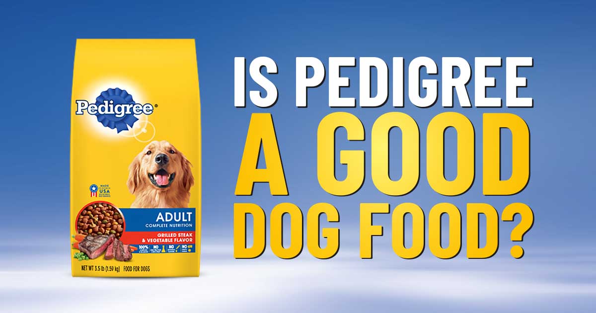 Pedigree Dog Food Review Formulas, Recipes, Recalls